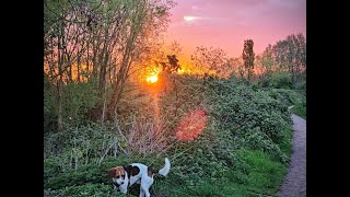 Beeston Marina to Attenborough Nature Reserve Walking Tour 4k 50 Min [upl. by End]