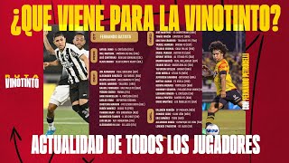 ¿QUÉ VIENE PARA LA VINOTINTO  ACTUALIDAD A DIAS DE LA PRÓXIMA FECHA DE ELIMINATORIAS 🚨 [upl. by Rosamund290]