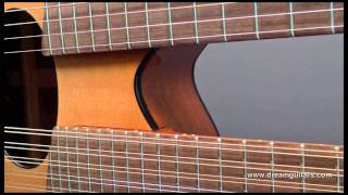 Joe Veillette Double Neck Guitar at Dream Guitars played by Al Petteway [upl. by Sharleen]