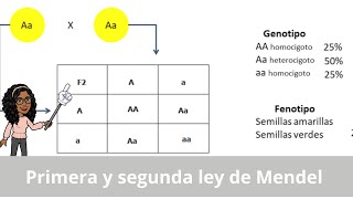 1 Introducción a la genética mendeliana conceptos básicos y cruza monohíbrida [upl. by Ariek]