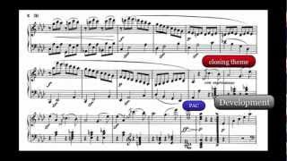 Beethoven Analysis Piano Sonata in F minor Op 2 No 1 I Allegro [upl. by Zebe227]