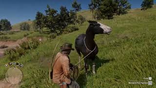 Best Unique Horse  Black Missouri Fox Trotter  RDR2 mod [upl. by Nydroj677]