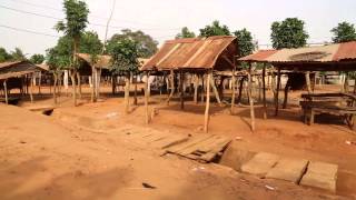 Togo Togoville Guide et explications des pratiques vaudous  Togo Togoville Guide and Vodou learn [upl. by Atinev634]