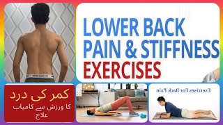 spine pain relief exercises  lower back pain relief exercises  stretching exercises for lower back [upl. by Iliam179]