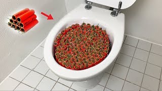 1000 Firecrackers vs Toilet [upl. by Vachell]