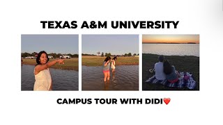 My Grad SchoolTexas AampM University Campus Tour with Di Century Square Lake BryanHalloween Season [upl. by Adolph]