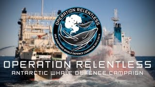 Operation Relentless  Sea Shepherds 10th Antarctic Whale Defence Campaign [upl. by Asiela713]