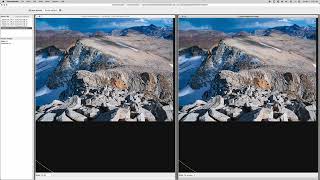 Focus Stacking Basics of Retouching Problem Areas in Zerene Stacker [upl. by Kyrstin]