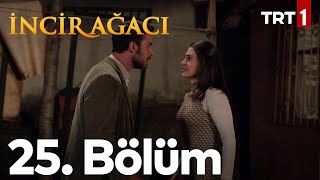 İncir Ağacı 25 Bölüm [upl. by Eiram18]