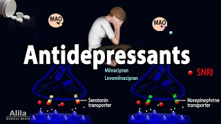 Pharmacology  Antidepressants Animation [upl. by Duwad]