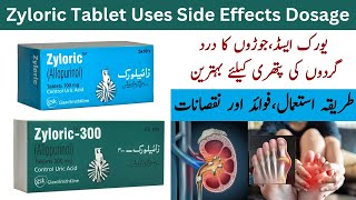 Zyloric 300 Mg Tablet  Zyloric 100mg Tablet  Zyloric Tablet Kis Kaam Aati Hai [upl. by Modestine381]