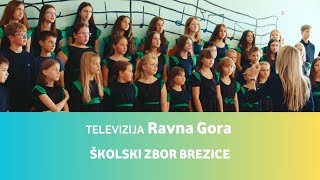 Televizija Ravna Gora • Školski zbor Brezice [upl. by Rehsa]