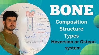 Bone tissue Structure and Composition MDCAT Biology Bone anatomy and Physiology Zia Academy [upl. by Whittaker]