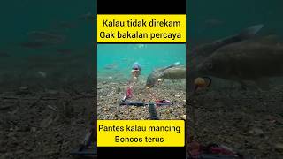 pantes kalau mancing umpan selalu habis ikannya tidak kenak shorts [upl. by Maon290]