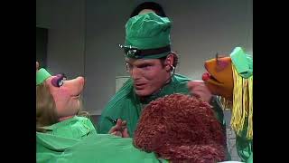 The Muppet Show  418 Christopher Reeve  Veterinarian’s Hospital Dr Bob 1980 [upl. by Milore]