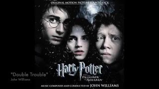 quotThe Beautiful Music of the Harry Potter Seriesquot [upl. by Fiona]