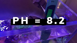 Tricks to keep PH of reef tank at 82 [upl. by Herm271]