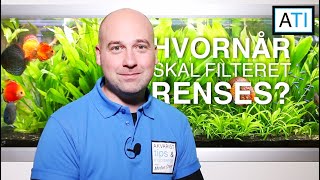 Hvor ofte skal et akvarie filter renses  Begynder guide [upl. by Viola633]