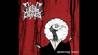 Ad Unum Omnes  Shattering Bones Full Album Premiere [upl. by Notneiuq]