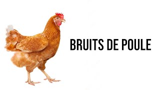 Bruits de poule pour attirer une poule [upl. by Nivanod]