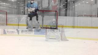 Balance Training  Incorporating balance coordination into goaltender training [upl. by Chloe]