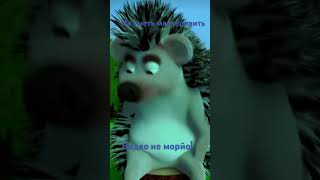 Хахаххахаа cat подпишись мем song memes дуэт music [upl. by Nolyak]