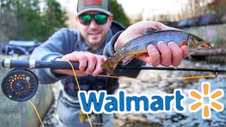 I Bought the CHEAPEST Fly Rod at WALMART [upl. by Katheryn]