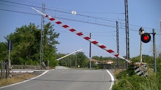 Spoorwegovergang Borgomanero I  Railroad crossing  Passaggio a livello [upl. by Agretha208]