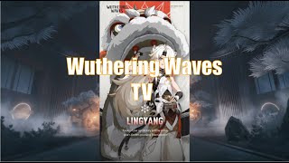 Wuthering Waves  Linyangs Story  Dialogue only [upl. by Rosa]