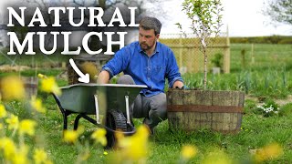 11 Amazing Mulch Materials for Permaculture Gardening [upl. by Katlin887]