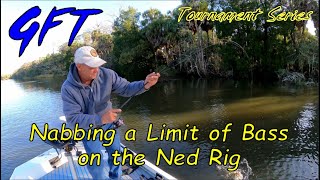 Nabbing a limit of bass on the Ned Rig Apalachicola River Bass Tournament [upl. by Lynnett]