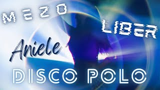 Mezo ft Liber  ANIELE Ale to Disco Polo Cover [upl. by Gae]