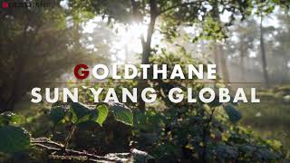 GOLDTHANE  SUN YANG GLOBAL TAIWAN TPU manufacturer [upl. by Rima]