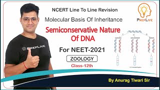 Semi Conservative Nature of DNA  Molecular Basis of Inheritance Class12 NEET 2021  Preplive NEET [upl. by Vivl]