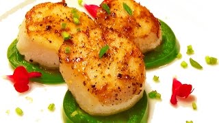 Pan Seared Scallops [upl. by Eskill589]