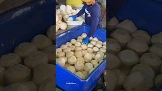 The Best Coconut Packaging Process in Thailand [upl. by Akimehs]