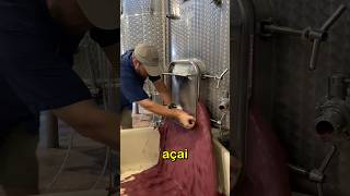 Emptying Expired Wine Tank Shorts [upl. by Sprage]