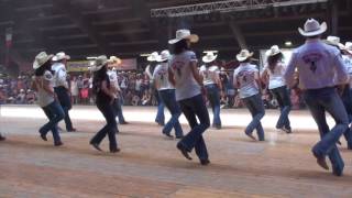 ONE HUNDRED line dance  Wild Country  Voghera 2017 [upl. by Enimaj]