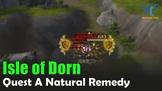 Quest A Natural Remedy WoW  Isle of Dorn  World of Warcraft Retail [upl. by Gnet]