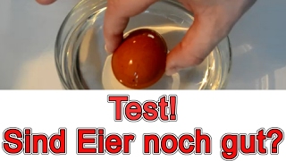 Test ob Eier noch gut sind  Einfacher Trick 😲 [upl. by Diannne383]