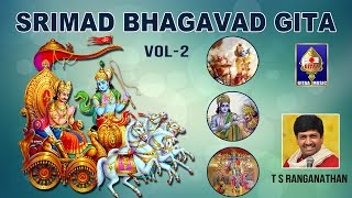 Chapter 11  Vishwaroopa Darsana Yogam  Srimad Bhagavad Gita  By T S Ranganathan [upl. by Indira231]