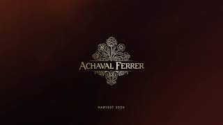 Achaval Ferrer Harvest 2020 [upl. by Jaymie]