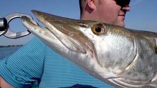 Muskie Fishing on Lake St Clair [upl. by Mohorva]