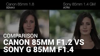 Comparison Canon 85mm f12 VS Sony G Master 85mm f14 [upl. by Pudendas]