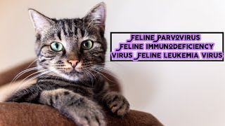 infectious diseases  Feline Panleukopenia  Feline immunodeficiency virus  Feline leukemia virus [upl. by Ahsener]