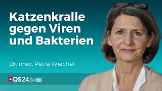 Katzenkralle bei Infektionen Effektive Unterstützung für Ihr Immunsystem  Dr med Wiechel  QS24 [upl. by Devaney810]