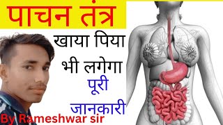 पाचन तंत्र  Digestive System in hindi  pachan tantra  Digestive System in human [upl. by Albur]