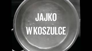 Jajko w koszulce [upl. by Ahsram]