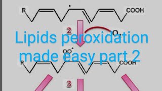 CV B 004Significance of lipid peroxidation part 2 [upl. by Kezer]