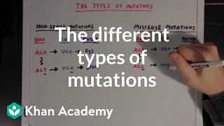 The different types of mutations  Biomolecules  MCAT  Khan Academy [upl. by Baniaz]